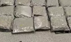 Hyderabad: శంషాబాద్‌ ఎయిర్‌పోర్టులో రూ.14 కోట్ల విలువైన గంజాయి పట్టివేత