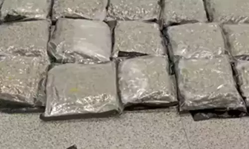 Hyderabad: శంషాబాద్‌ ఎయిర్‌పోర్టులో రూ.14 కోట్ల విలువైన గంజాయి పట్టివేత