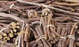 Ayurvedic Medicine: చలికాలంలో ఈ వెచ్చని మూలిక ఉంటే చాలు.. దగ్గు, గొంతు నొప్పికి చెక్! దీని లాభాలు తెలిస్తే వదలరు..