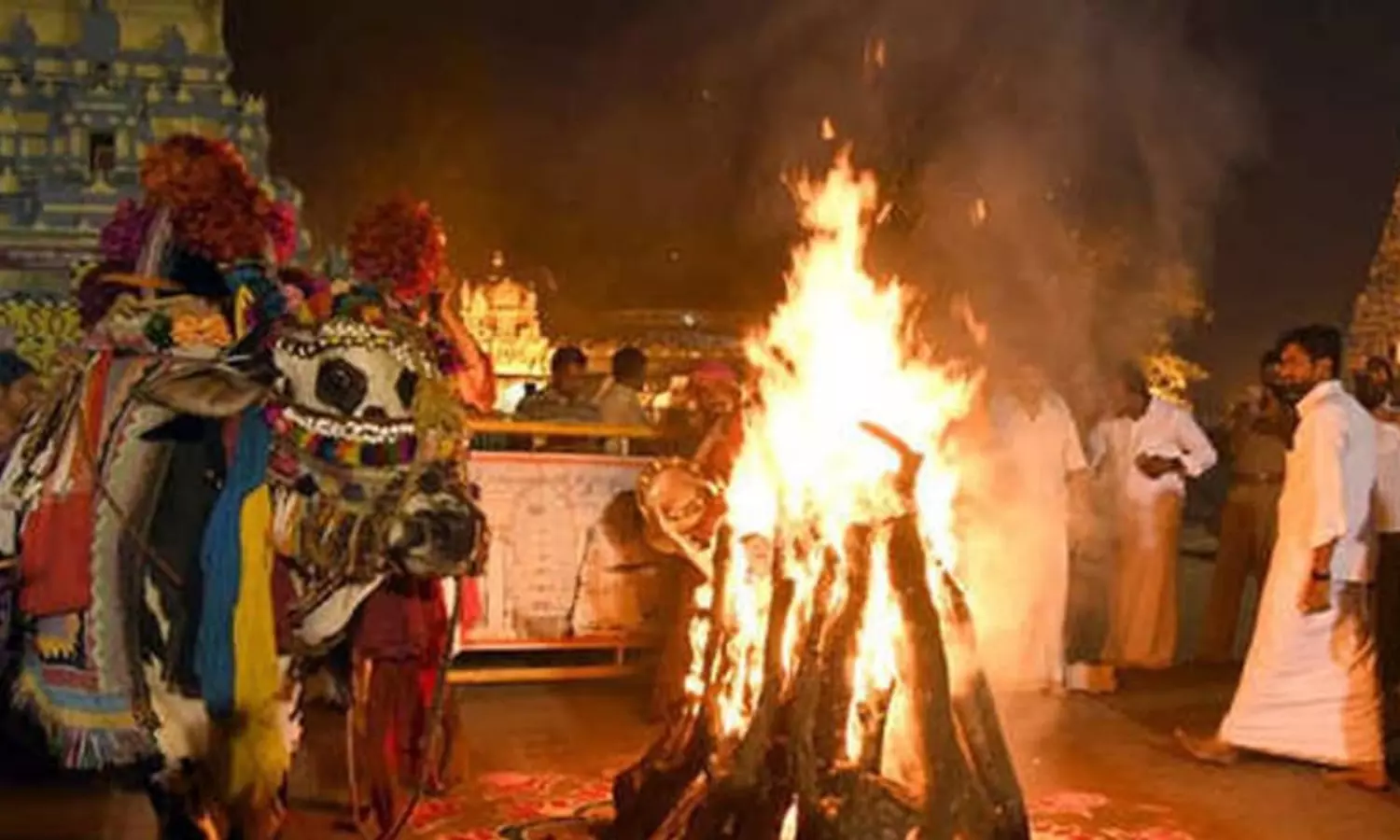 Bhogi Festival 2026: శాస్త్రం ప్రకారం భోగి పండుగ ఎప్పుడు జరుపుకోవాలి? జనవరి 13నా.. 14నా? పండితుల స్పష్టత ఇదే Bhogi Festival 2026: శాస్త్రం ప్రకారం భోగి పండుగ ఎప్పుడు జరుపుకోవాలి? జనవరి 13నా.. 14నా? పండితుల స్పష్టత ఇదే