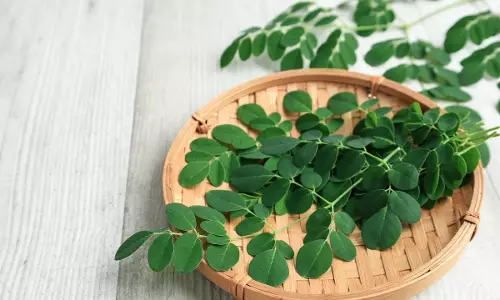 Moringa : అమ్మ బాబోయ్.. మునగాకులో ఇన్ని వింతలా? తింటే బాడీ ఐరన్ లా మారిపోద్దా! Moringa : అమ్మ బాబోయ్.. మునగాకులో ఇన్ని వింతలా? తింటే బాడీ ఐరన్ లా మారిపోద్దా!