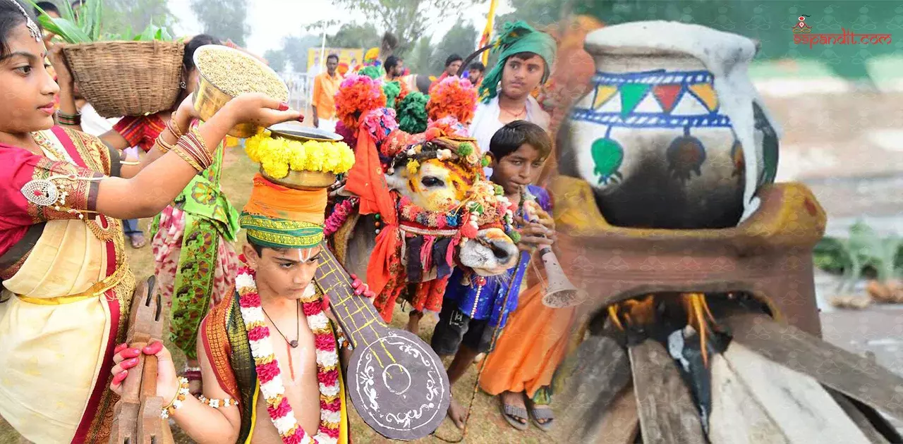 Sankranti 2026: గంగిరెద్దులు, హరిదాసుల సందడి సంక్రాంతికే ఎందుకు? దీని వెనుక ఉన్న ఆధ్యాత్మిక అర్థం ఇదే!