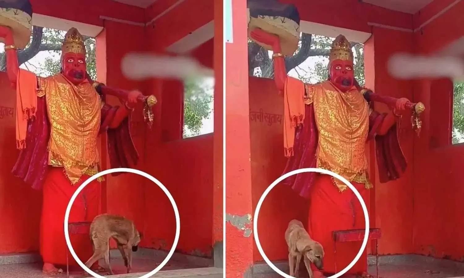 Viral Video Viral Video