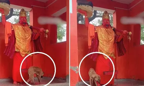 Viral Video Viral Video