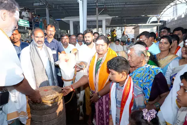 Seethakka: రాజన్న అభివృద్ధికి సీఎం రేవంత్ శ్రీకారం.. 18న మేడారంలో కేబినెట్ భేటీ