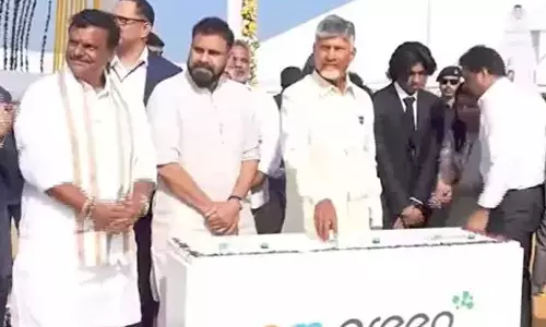 Green Ammonia Project