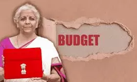 Budget 2026: నిర్మలమ్మ పద్దులో మధ్యతరగతికి ఊరట లభిస్తుందా? ఈసారి అంచనాలు ఇవే!