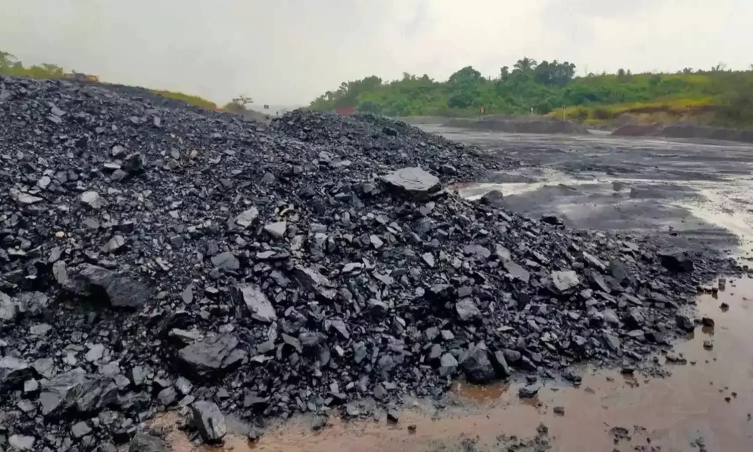 Stock Market: లక్ష పెడితే రెండు లక్షలా? బీసీసీఎల్ ఐపీఓ సృష్టించిన ప్రభంజనం మామూలుగా లేదు!