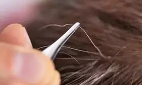 Does Plucking One Grey జుట్టంతా తెల్లగా అవుతుందా? అసలు నిజం ఏంటో తెలిస్తే షాక్ అవుతారు!