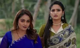 Intinti Ramayanam Jan 21: పల్లవి కడుపు నాటకానికి శుభం కార్డు.. బట్టబయలు చేసిన అవని, చెంప పగలగొట్టిన భర్త!