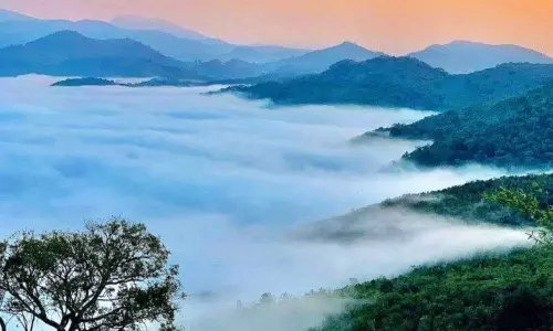 Andhra Kashmir tourism : ఆంధ్రప్రదేశ్ కాశ్మీర్ ప్రాంతంలో మారుతున్న దృశ్యం: లంబసింగి పూల తోటలతో రైతుల లాభదాయక వ్యాపారం.