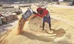 Good News for AP Farmers: ధాన్యం అమ్మిన రోజే అకౌంట్లోకి పైసలు.. ఇక వారాల ఎదురుచూపులు ఉండవ్!