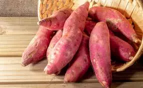 Sweet Potatoes Adulteration Alert: చిలగడదుంపల రూపంలో విషం! కల్తీని ఇలా గుర్తించండి Sweet Potatoes Adulteration Alert: చిలగడదుంపల రూపంలో విషం! కల్తీని ఇలా గుర్తించండి