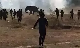 Jharkhand Declares విధ్వంసం: 22 మంది మృతి