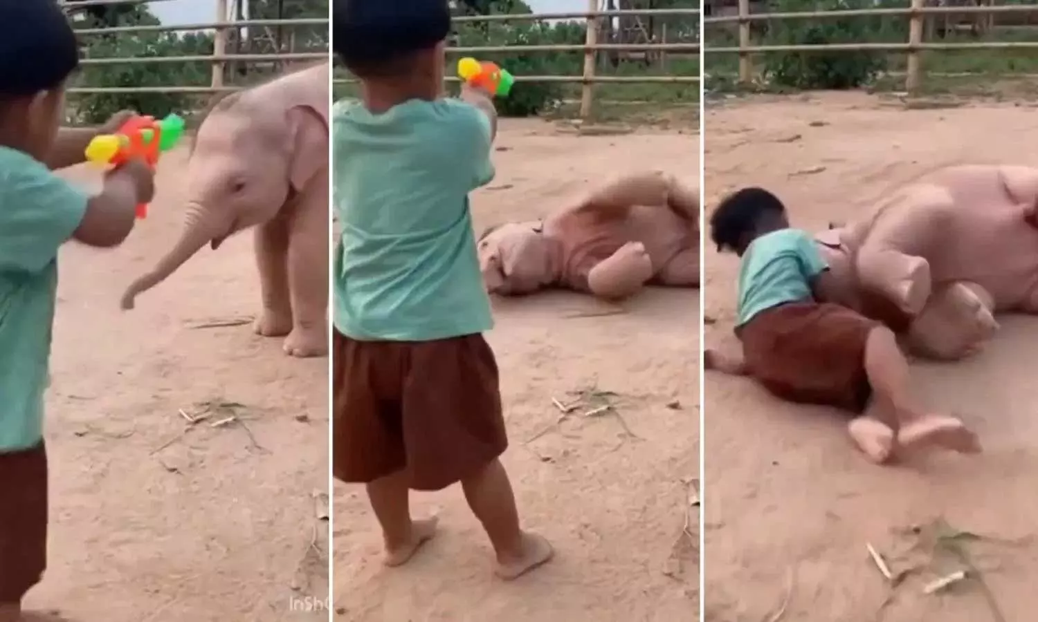 Viral Video : ఆ బుజ్జి ఏనుగుకు ఆస్కార్ ఇవ్వాల్సిందే.. చిన్నారితో కలిసి అదిరిపోయే యాక్టింగ్ Viral Video : ఆ బుజ్జి ఏనుగుకు ఆస్కార్ ఇవ్వాల్సిందే.. చిన్నారితో కలిసి అదిరిపోయే యాక్టింగ్