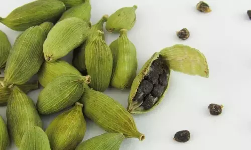 సుగంధ ద్రవ్యాల రాణి యాలకులు: ఒక్కటి తిన్నా చాలు.. గుండె జబ్బుల నుండి డిప్రెషన్ వరకు అన్నీ మాయం!