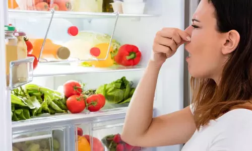 Fridge Bad Smell Fridge Bad Smell