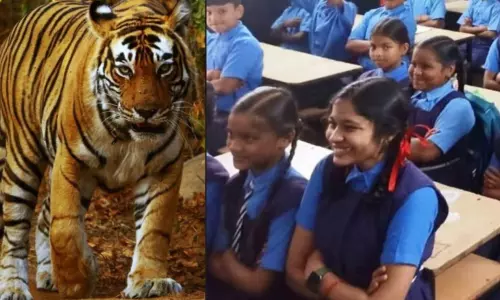 School Holiday: రాజమహేంద్రవరం వద్ద పులి సంచారం.. నేడు, రేపు స్కూళ్లకు సెలవులు