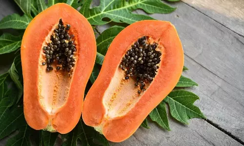 Papaya Benefits: ఉదయాన్నే ఖాళీ కడుపుతో బొప్పాయి తింటున్నారా? ఈ 5 అద్భుత ప్రయోజనాలు తెలిస్తే అస్సలు వదలరు!