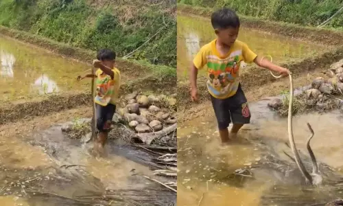 Viral Video : వీడు మామూలోడు కాదు..పాముతోనే పరాచకాలా? వైరల్ వీడియో చూస్తే షాక్ అవ్వాల్సిందే