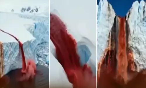 Viral Video: రక్తంలా ప్రవహిస్తున్న నీరు.. టేలర్ గ్లేసియర్ దగ్గర భయంకర దృశ్యం! దీని వెనుక ఉన్న సైన్స్ ఏంటి?