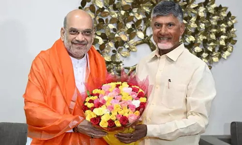 అమిత్ షాతో సీఎం చంద్రబాబు కీలక భేటీ: అమరావతికి చట్టబద్ధతపై చర్చ.. బడ్జెట్ సమావేశాల్లోనే బిల్లు?