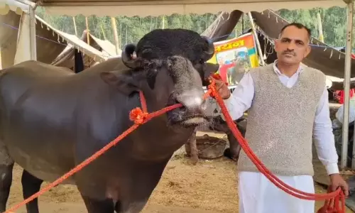 Kuber: రూ.21 కోట్ల ‘కుబేరుడు’: నెలకు ₹20 లక్షల సంపాదన.. ఈ దున్నపోతు లైఫ్ స్టైల్ చూస్తే మైండ్ బ్లాకే!