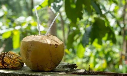 Coconut Water Side Effects: కొబ్బరి నీళ్లతో జాగ్రత్త.. ఈ అనారోగ్య సమస్యలు వచ్చే ఛాన్స్!