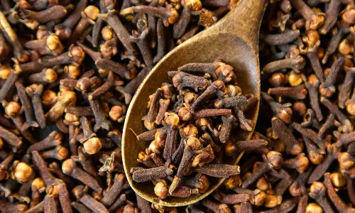 Chewing Cloves Benefits