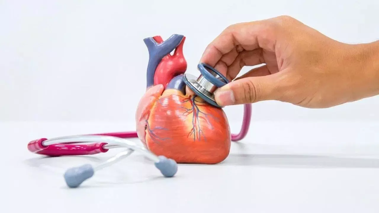 Broken Heart Syndrome: నిజంగానే గుండె పగులుతుందా? బ్రోకెన్ హార్ట్ సిండ్రోమ్ లక్షణాలు, కారణాలివే! Broken Heart Syndrome: నిజంగానే గుండె పగులుతుందా? బ్రోకెన్ హార్ట్ సిండ్రోమ్ లక్షణాలు, కారణాలివే!