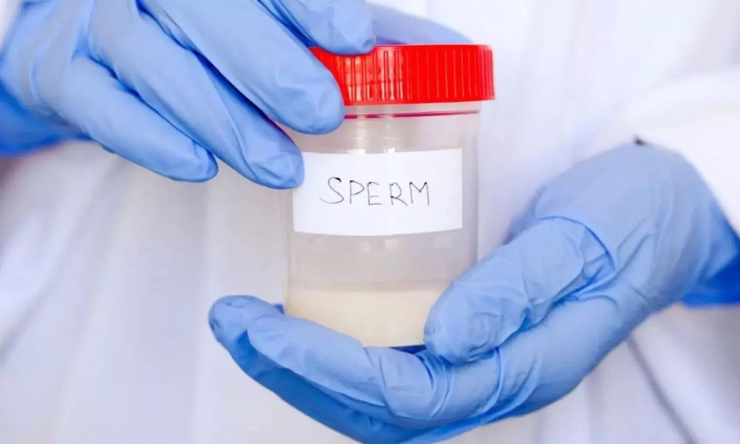 How to Increase Sperm Count: స్పెర్మ్ కౌంట్ పెంచుకోవడానికి బెస్ట్ టిప్స్ ఇవే! How to Increase Sperm Count: స్పెర్మ్ కౌంట్ పెంచుకోవడానికి బెస్ట్ టిప్స్ ఇవే!