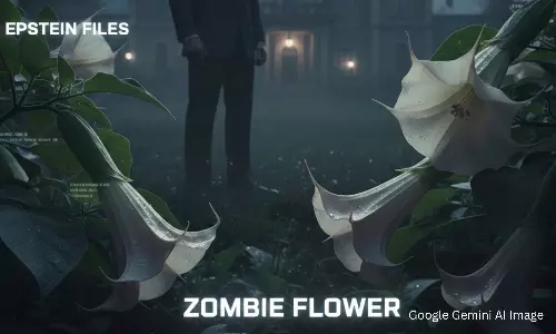 Epstein Files: ఎప్స్టీన్ ఫైల్స్ లో ఉమ్మెత్త పువ్వులు.. వీటిని ఎందుకోసం వాడతారో తెలిస్తే మైండ్ బ్లాంక్
