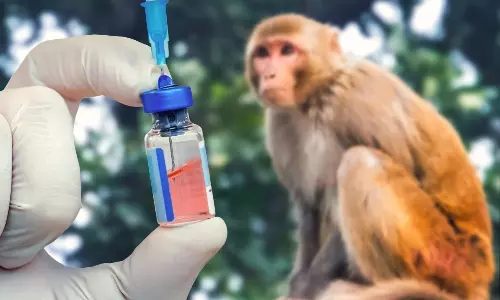 Monkey Prices : చైనాలో కోతుల కొరత.. ఒక్కోదాని రేటు రూ. 18 లక్షలు..బంగారం కంటే స్పీడ్గా పెరుగుతున్న ధరలు Monkey Prices : చైనాలో కోతుల కొరత.. ఒక్కోదాని రేటు రూ. 18 లక్షలు..బంగారం కంటే స్పీడ్గా పెరుగుతున్న ధరలు