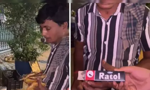 Rat Poison on Bananas