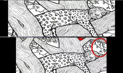 Optical Illusion Challenge: కనిపెట్టండి చూద్దాం..!