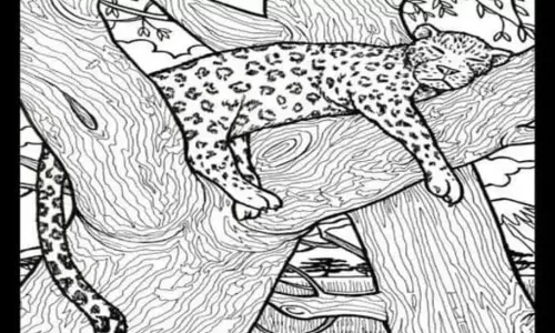 Optical Illusion Challenge