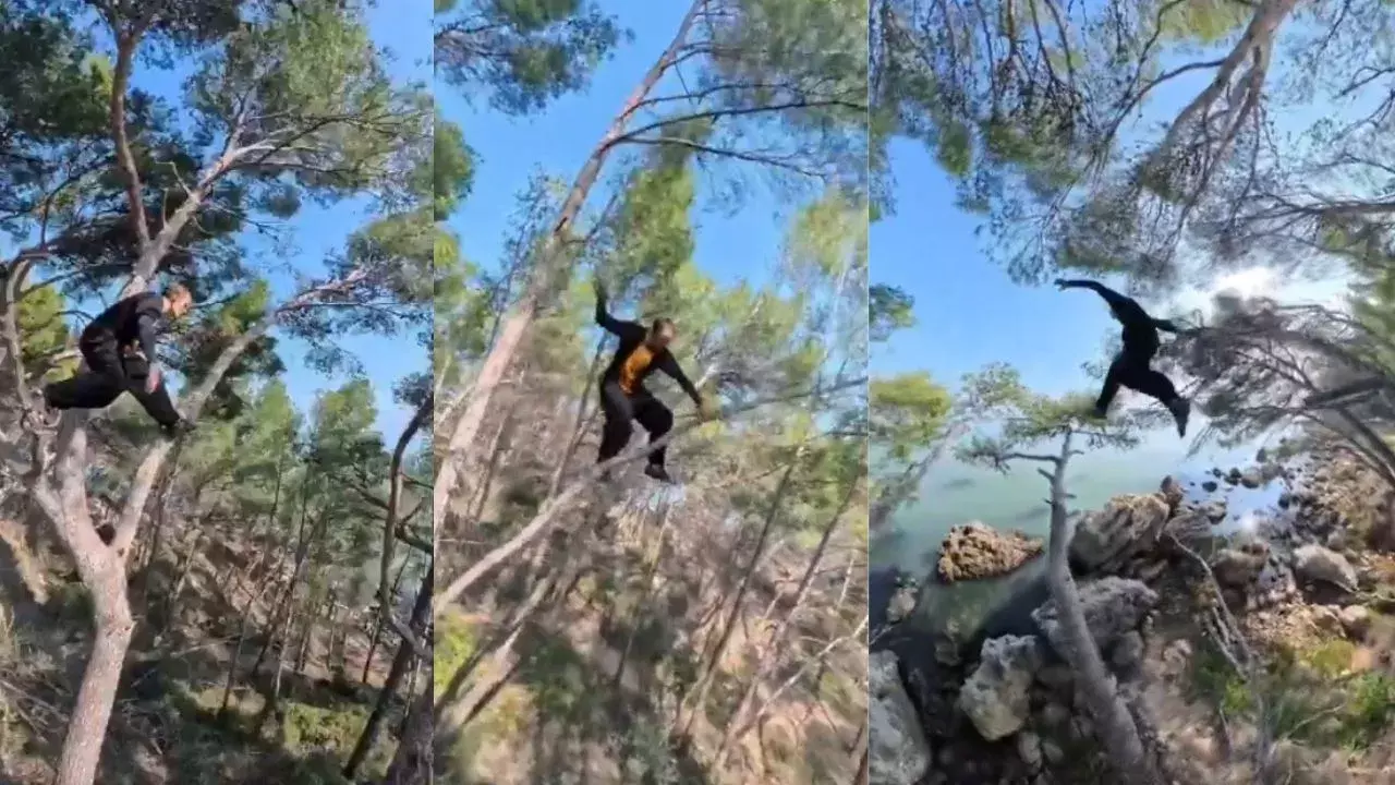 Viral Video : ఎవడు మమ్మీ వీడు.. రియల్ మోగ్లీలా ఉన్నాడు.. చెట్ల మీద కోతి కంటే ఫాస్టుగా దూకేస్తున్నాడు Viral Video : ఎవడు మమ్మీ వీడు.. రియల్ మోగ్లీలా ఉన్నాడు.. చెట్ల మీద కోతి కంటే ఫాస్టుగా దూకేస్తున్నాడు