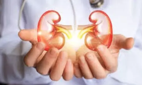 Kidney Health: నీరు అమృతమా? విషమా? అతిగా తాగితే వచ్చే ముప్పులివే! Kidney Health: నీరు అమృతమా? విషమా? అతిగా తాగితే వచ్చే ముప్పులివే!