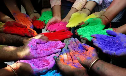 Holi Colors: హొలీ పండుగకు శరీరంపై పడిన రంగులను వదిలించుకోవడానికి అవసరమైన టిప్స్
