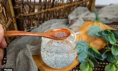 Sabja Seeds in summer