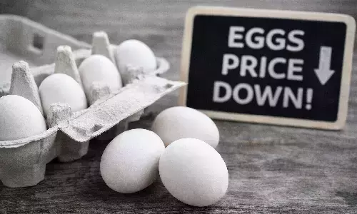 Egg Prices