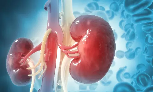 Kidney: మేక‌ప్ వేసుకుంటే కిడ్నీలు పాడ‌వుతాయా.? ప్ర‌పంచ కిడ్నీ దినోత్స‌వం రోజున‌ ఆస‌క్తిక‌ర విష‌యాలు..
