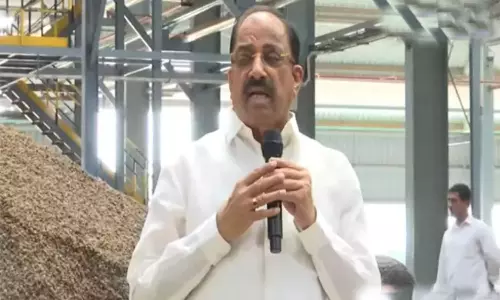 Tummala Nageswara Rao: ఆయిల్‌ పామ్ సాగుతో లాభాల పంట.. నీటి కష్టాలు లేవు, మార్కెట్ భయం లేదు!