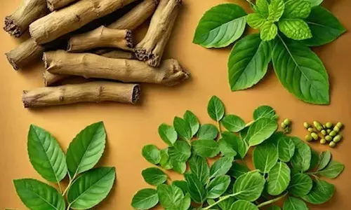 Health Tips Health Tips