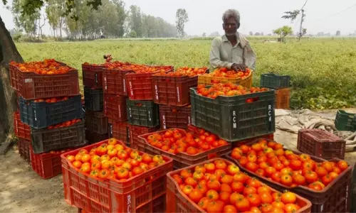 Telangana Farmer News