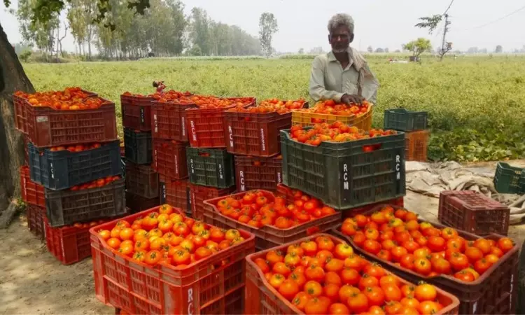 Telangana Farmer News