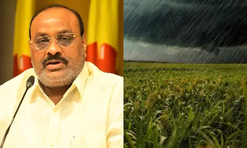Agriculture Minister Atchannaidu