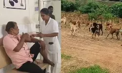 Palasa: కుక్కల బీభత్సం… ఏకంగా ఏడుగురిపై దాడి