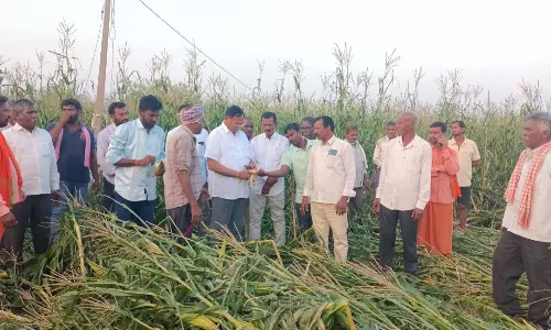 Peddapalli Peddapalli