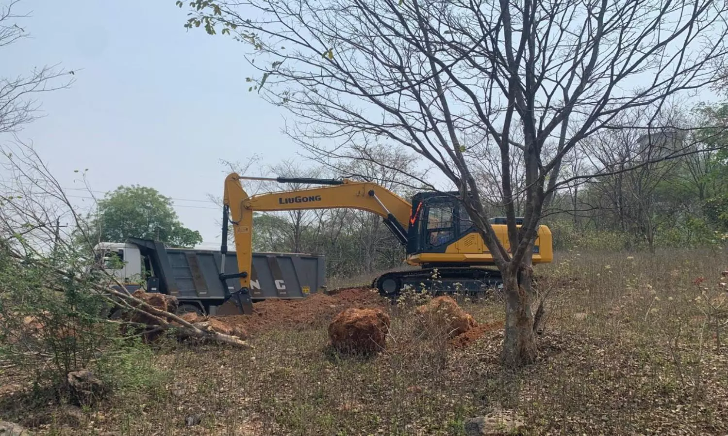 Peddapalli Peddapalli